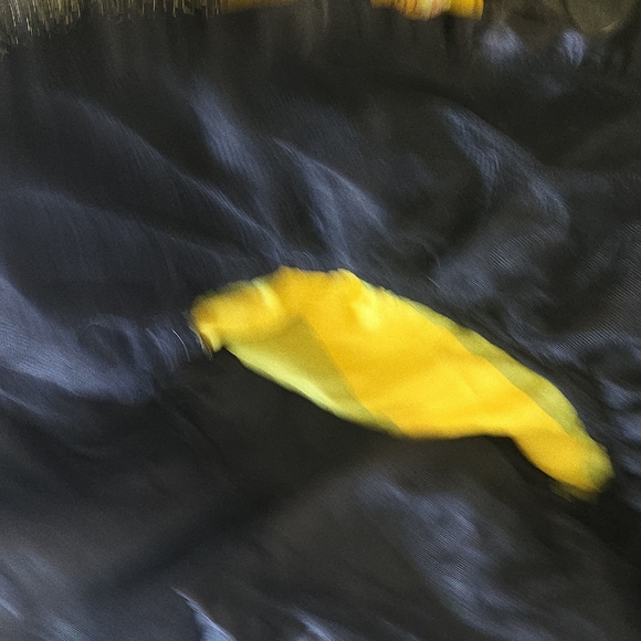 Get Ready for Halloween – Rubie’s Girls Bumblebee Costume w/‎ Wings H17 - Picture 5 of 8